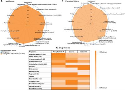 Exploring the potential of pheophorbide A, a chlorophyll-derived compound in modulating GLUT for maintaining glucose homeostasis